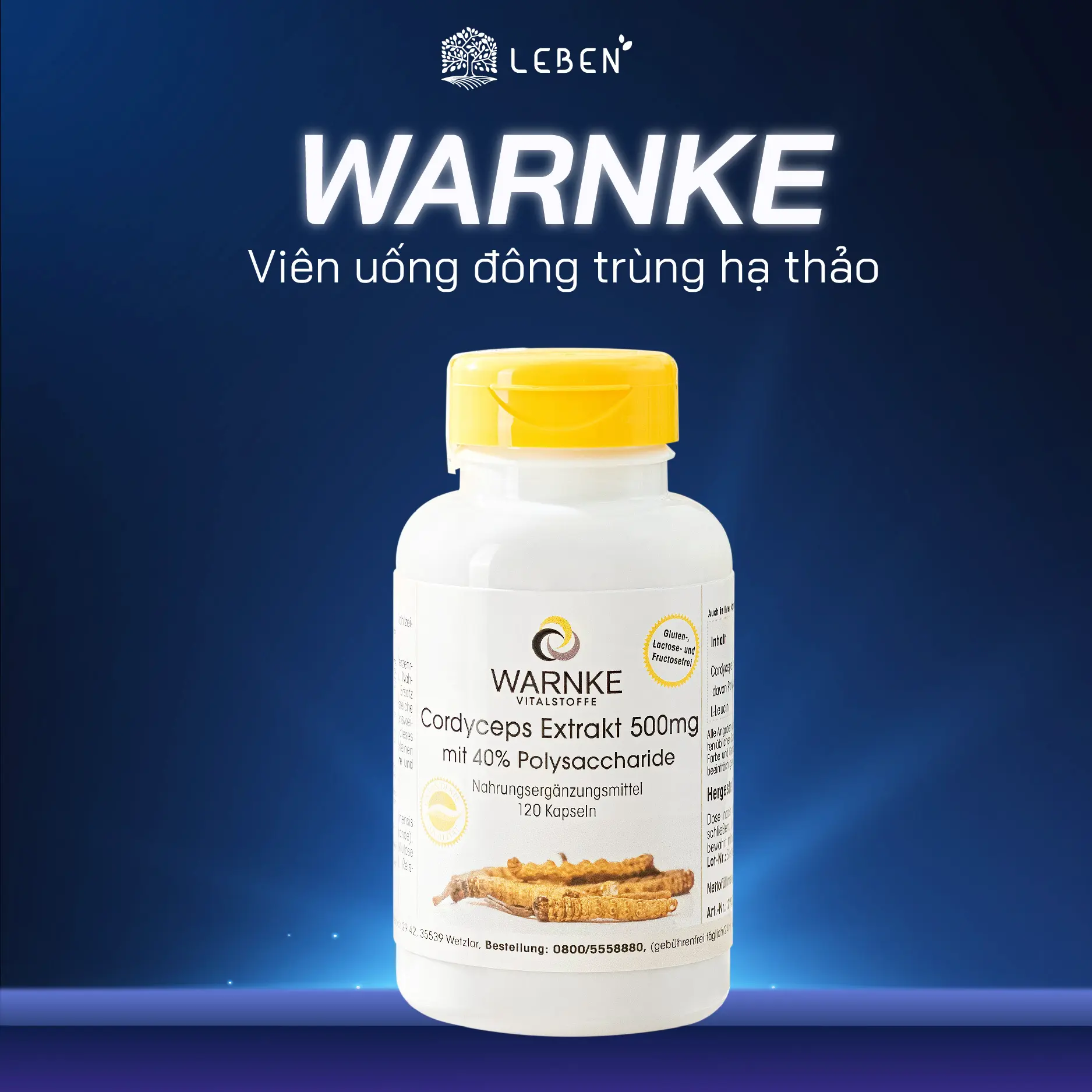 Viên Uống Đông Trùng Hạ Thảo Warnke Cordyceps Extrakt 500mg 120 Viên