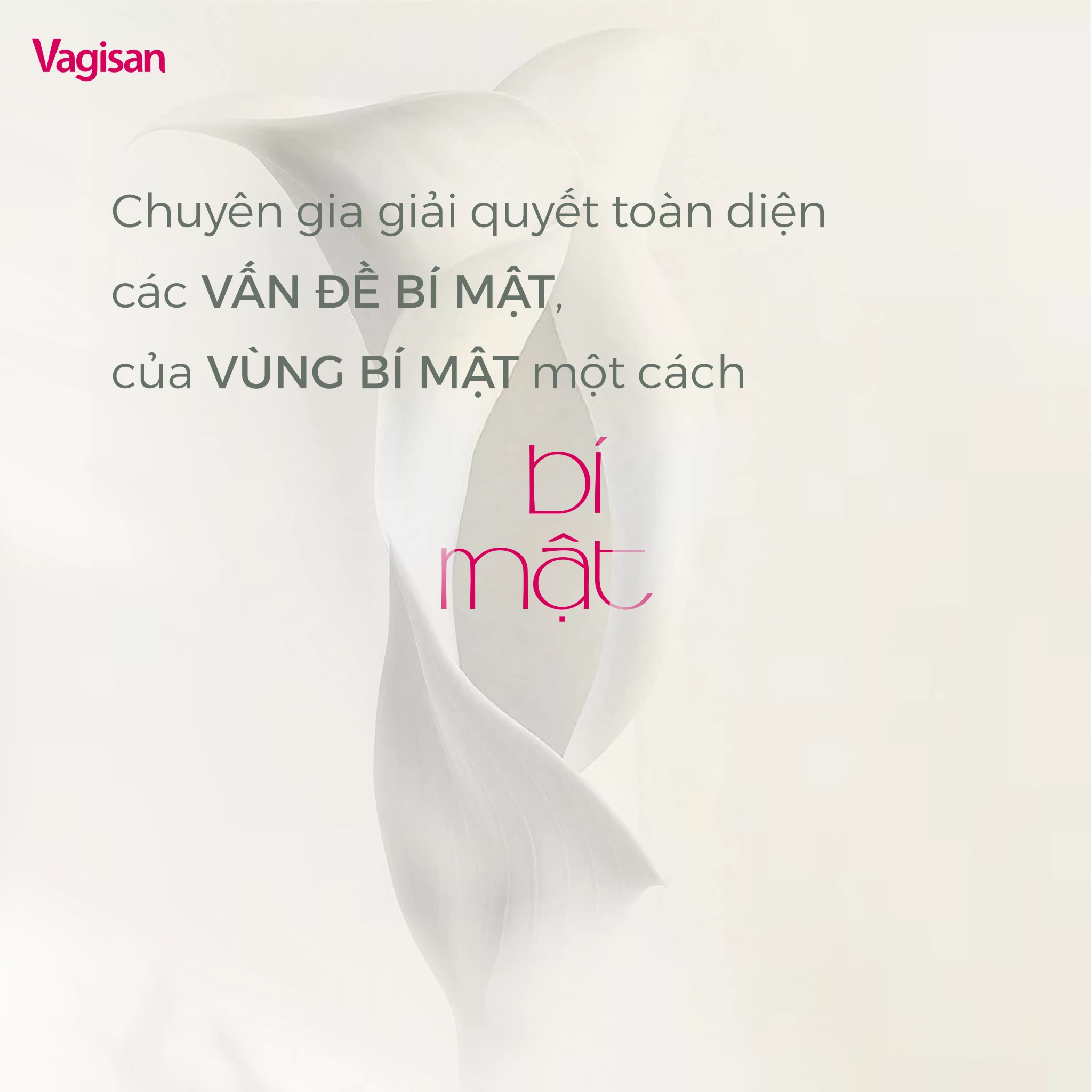 Ảnh sản phẩm 4
